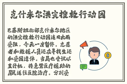 国外12小小仙踪林公司概况